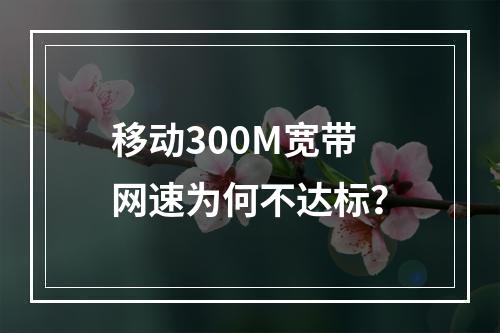 移动300M宽带网速为何不达标？