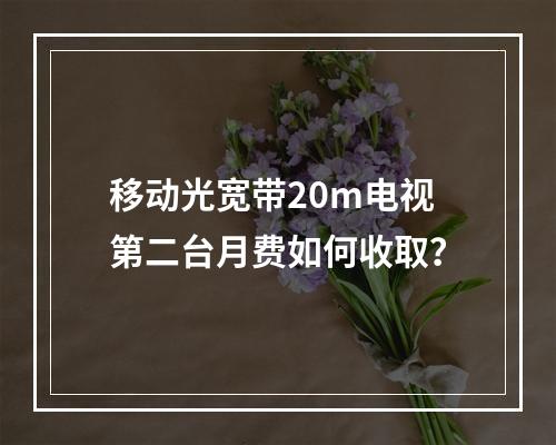 移动光宽带20m电视第二台月费如何收取？