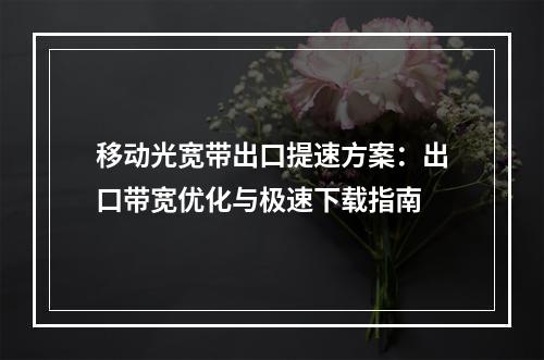 移动光宽带出口提速方案：出口带宽优化与极速下载指南