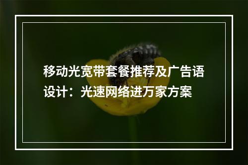 移动光宽带套餐推荐及广告语设计：光速网络进万家方案