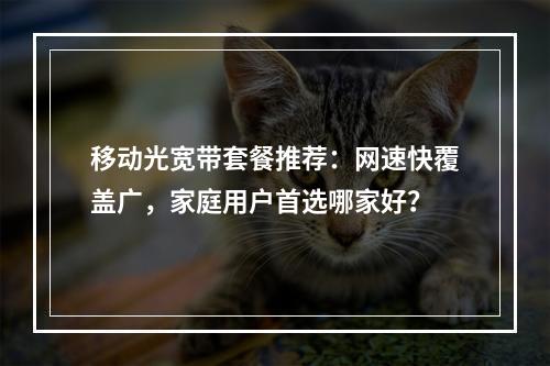 移动光宽带套餐推荐：网速快覆盖广，家庭用户首选哪家好？