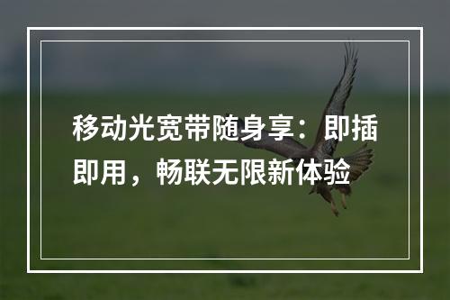 移动光宽带随身享：即插即用，畅联无限新体验