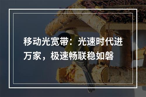 移动光宽带：光速时代进万家，极速畅联稳如磐