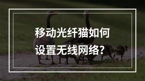 移动光纤猫如何设置无线网络？