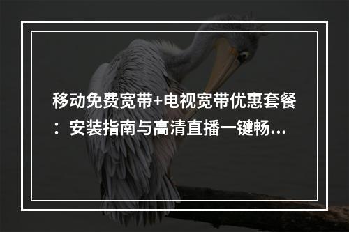 移动免费宽带+电视宽带优惠套餐：安装指南与高清直播一键畅享