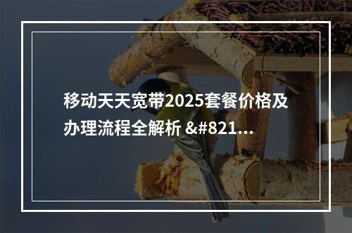 移动天天宽带2025套餐价格及办理流程全解析 – 覆盖范围查询