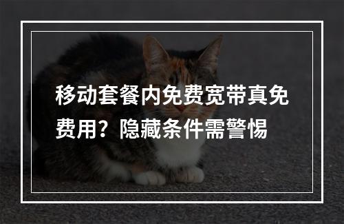 移动套餐内免费宽带真免费用？隐藏条件需警惕