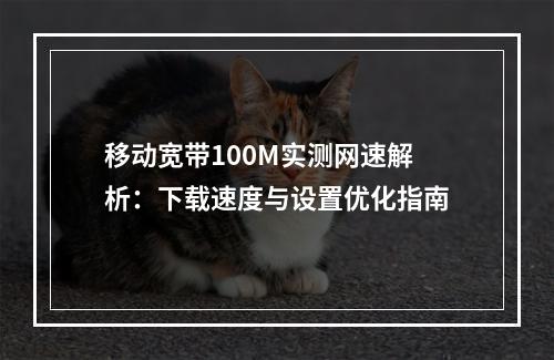 移动宽带100M实测网速解析：下载速度与设置优化指南