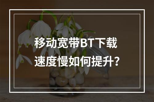 移动宽带BT下载速度慢如何提升？