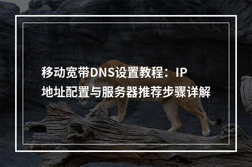 移动宽带DNS设置教程：IP地址配置与服务器推荐步骤详解
