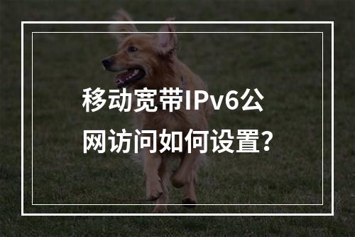 移动宽带IPv6公网访问如何设置？