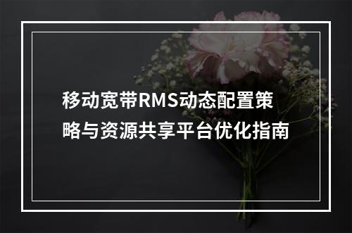 移动宽带RMS动态配置策略与资源共享平台优化指南