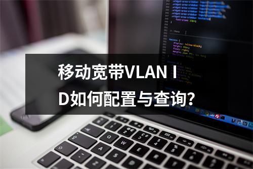 移动宽带VLAN ID如何配置与查询？
