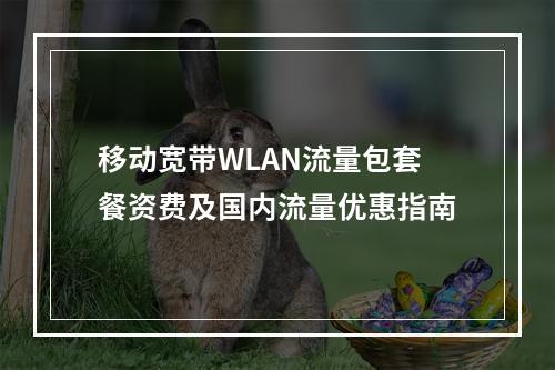 移动宽带WLAN流量包套餐资费及国内流量优惠指南