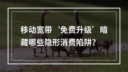 移动宽带‘免费升级’暗藏哪些隐形消费陷阱？