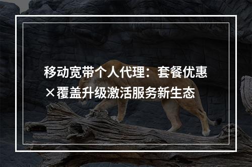 移动宽带个人代理：套餐优惠×覆盖升级激活服务新生态