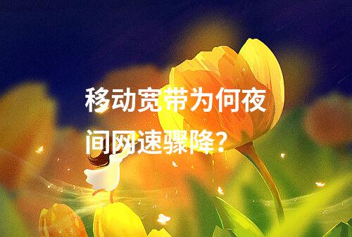 移动宽带为何夜间网速骤降？