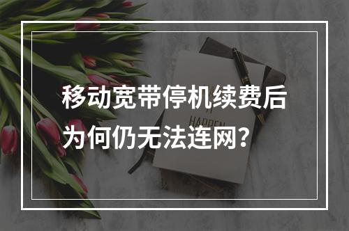 移动宽带停机续费后为何仍无法连网？
