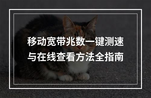 移动宽带兆数一键测速与在线查看方法全指南