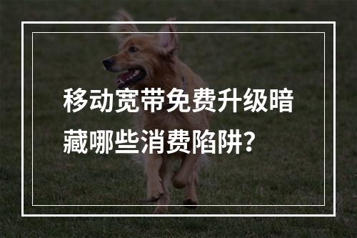 移动宽带免费升级暗藏哪些消费陷阱？