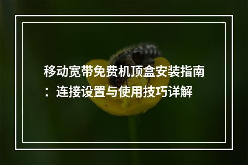 移动宽带免费机顶盒安装指南：连接设置与使用技巧详解