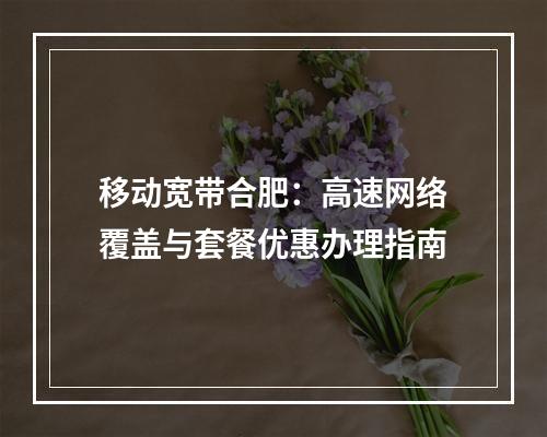 移动宽带合肥：高速网络覆盖与套餐优惠办理指南