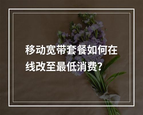 移动宽带套餐如何在线改至最低消费？