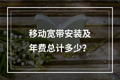 移动宽带安装及年费总计多少？