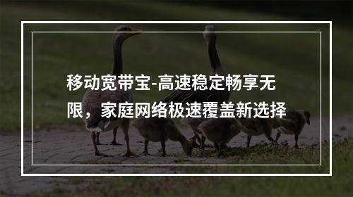 移动宽带宝-高速稳定畅享无限，家庭网络极速覆盖新选择