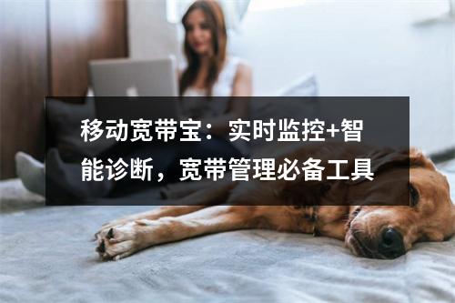 移动宽带宝：实时监控+智能诊断，宽带管理必备工具