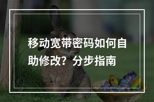 移动宽带密码如何自助修改？分步指南