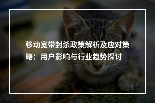 移动宽带封杀政策解析及应对策略：用户影响与行业趋势探讨