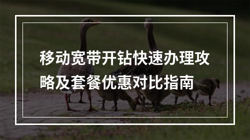 移动宽带开钻快速办理攻略及套餐优惠对比指南