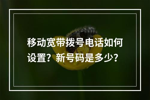 移动宽带拨号电话如何设置？新号码是多少？