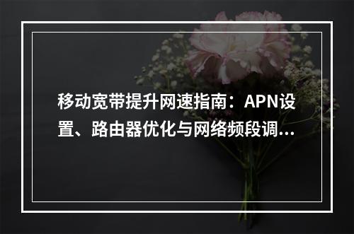 移动宽带提升网速指南：APN设置、路由器优化与网络频段调整
