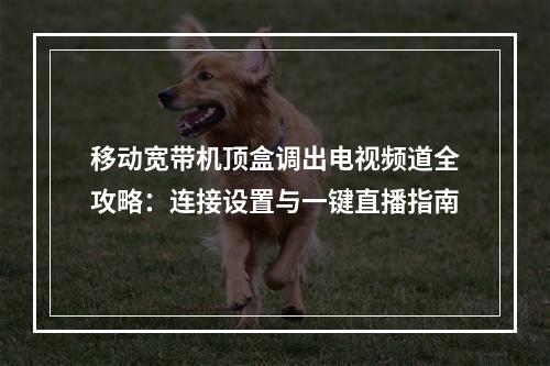 移动宽带机顶盒调出电视频道全攻略：连接设置与一键直播指南