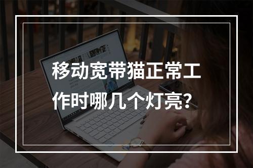 移动宽带猫正常工作时哪几个灯亮？