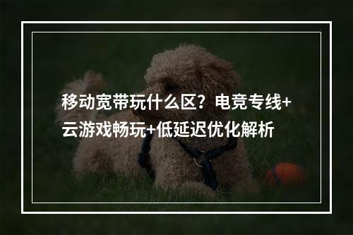 移动宽带玩什么区？电竞专线+云游戏畅玩+低延迟优化解析