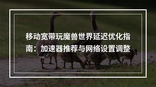 移动宽带玩魔兽世界延迟优化指南：加速器推荐与网络设置调整