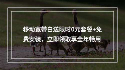 移动宽带白送限时0元套餐+免费安装，立即领取享全年畅用