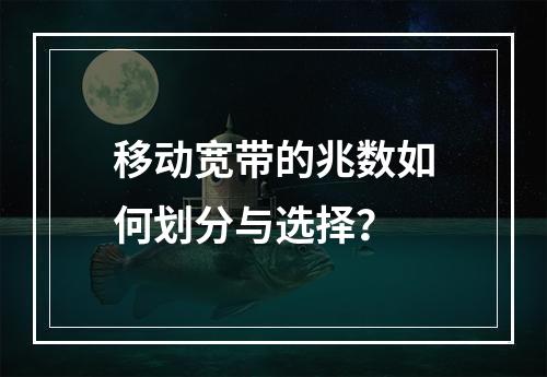 移动宽带的兆数如何划分与选择？