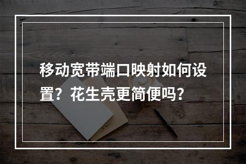 移动宽带端口映射如何设置？花生壳更简便吗？