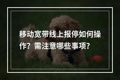 移动宽带线上报停如何操作？需注意哪些事项？