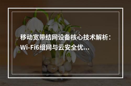 移动宽带结网设备核心技术解析：Wi-Fi6组网与云安全优化方案