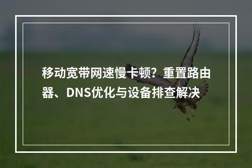 移动宽带网速慢卡顿？重置路由器、DNS优化与设备排查解决