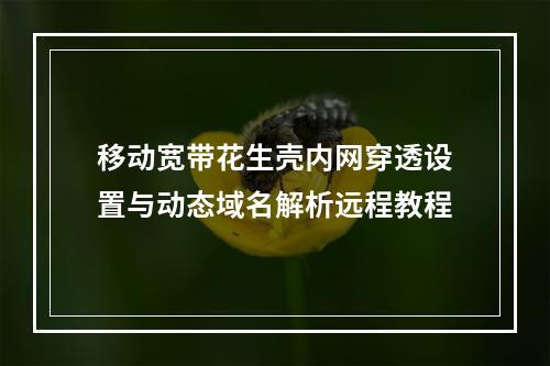 移动宽带花生壳内网穿透设置与动态域名解析远程教程