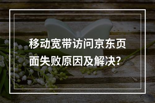 移动宽带访问京东页面失败原因及解决？