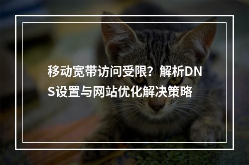 移动宽带访问受限？解析DNS设置与网站优化解决策略