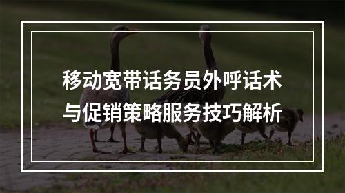 移动宽带话务员外呼话术与促销策略服务技巧解析