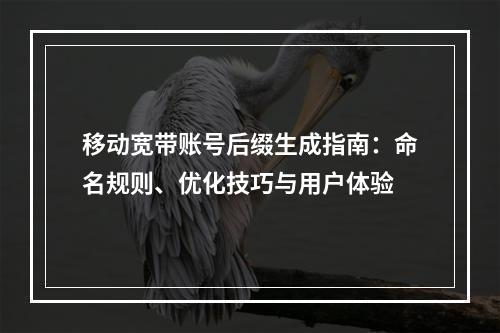 移动宽带账号后缀生成指南：命名规则、优化技巧与用户体验